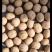 纸皮核桃大量批发供应产地发货低价出售质量高