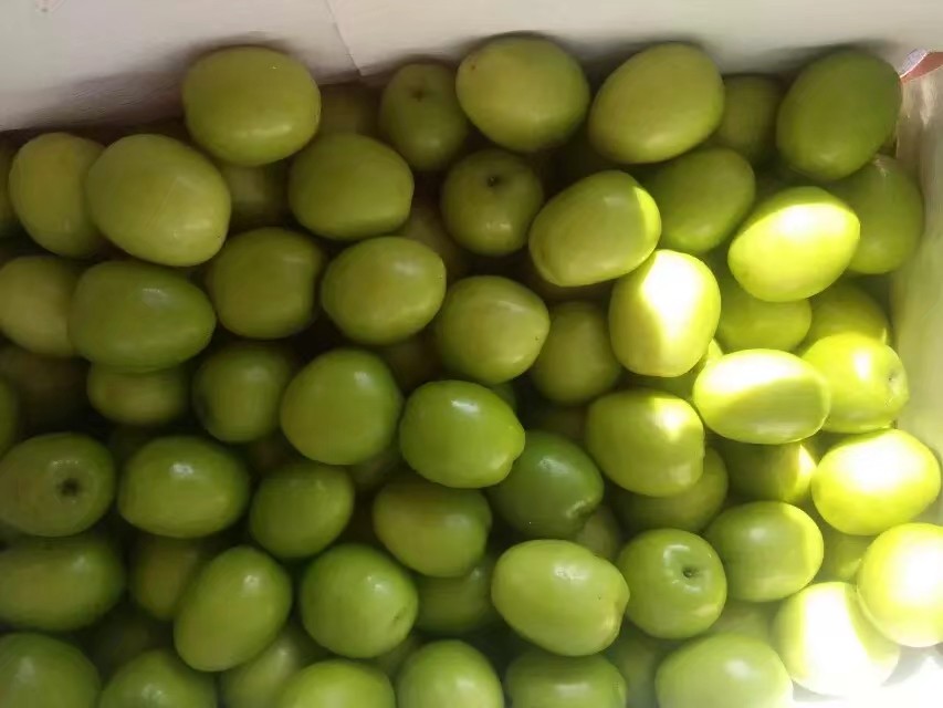 一张拼接式生活场景图:左上角为早餐桌上蜜汁油栗仁撒在酸奶杯中;右上角为烘焙师傅将其加入面包面团;左下角为精致礼盒包装样式;右下角为孩子开心吃着栗仁的画面,整体风格温馨明亮,强调产品的多功能用途 蜜汁油栗仁多场景应用图