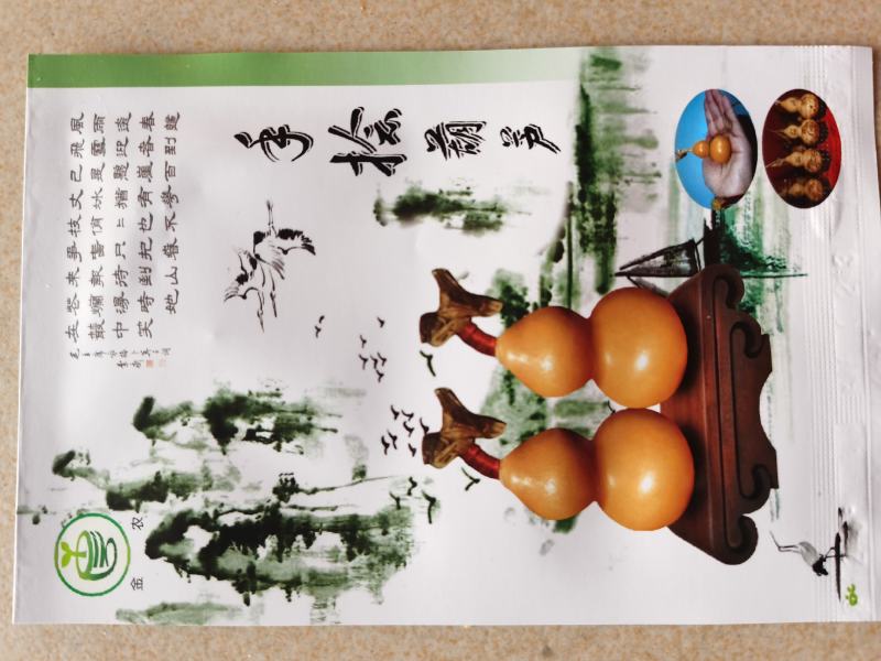 手捻葫芦种子小葫芦铁包金文玩葫芦观光爬藤植物