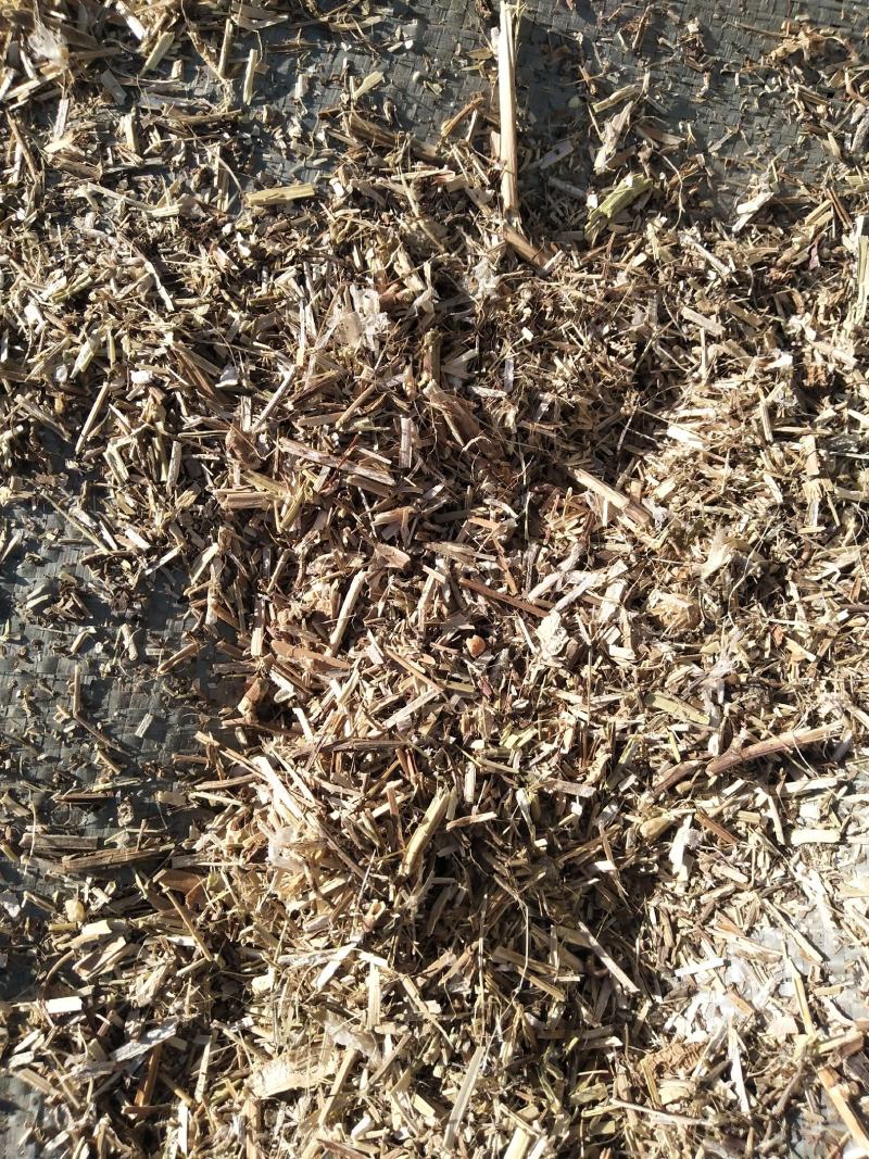 辣椒秆
