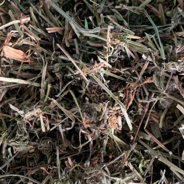 猪殃殃八仙草【包邮】三斤起发货可批量可零售量大从优