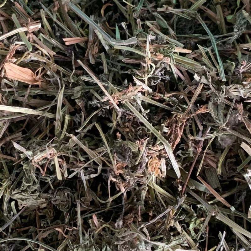 猪殃殃八仙草【包邮】三斤起发货可批量可零售量大从优
