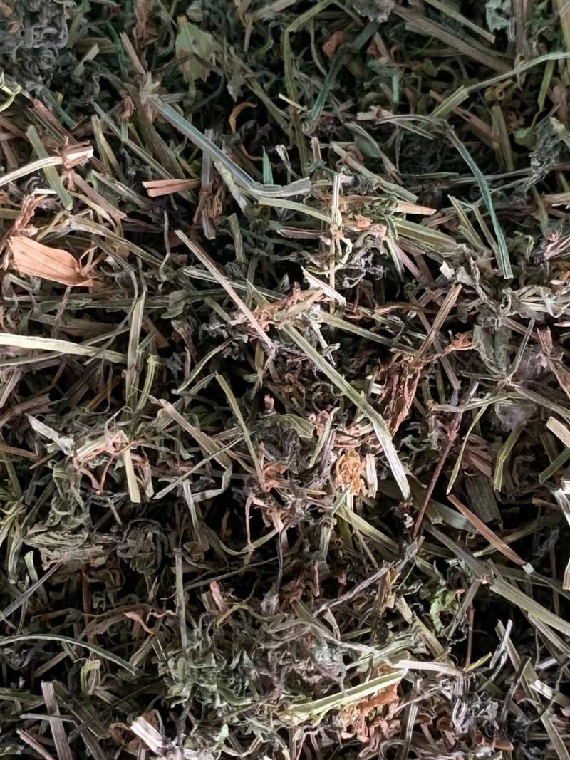 猪殃殃八仙草【包邮】三斤起发货可批量可零售量大从优