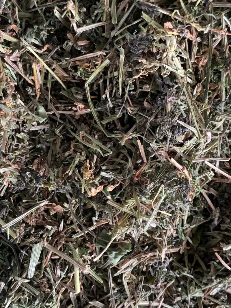 猪殃殃八仙草【包邮】三斤起发货可批量可零售量大从优