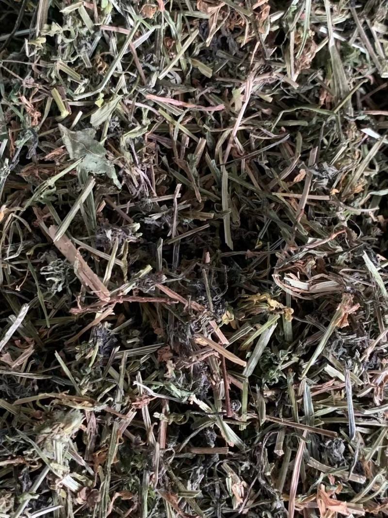 猪殃殃八仙草【包邮】三斤起发货可批量可零售量大从优