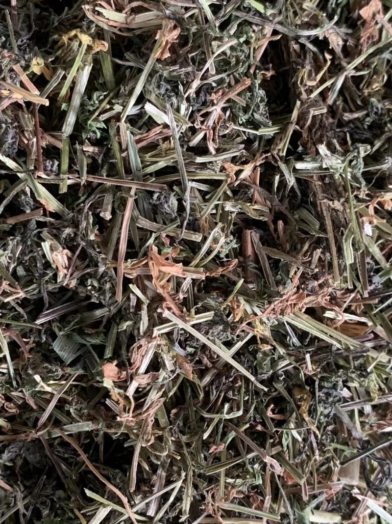 猪殃殃八仙草【包邮】三斤起发货可批量可零售量大从优