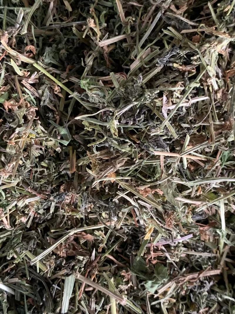 猪殃殃八仙草【包邮】三斤起发货可批量可零售量大从优