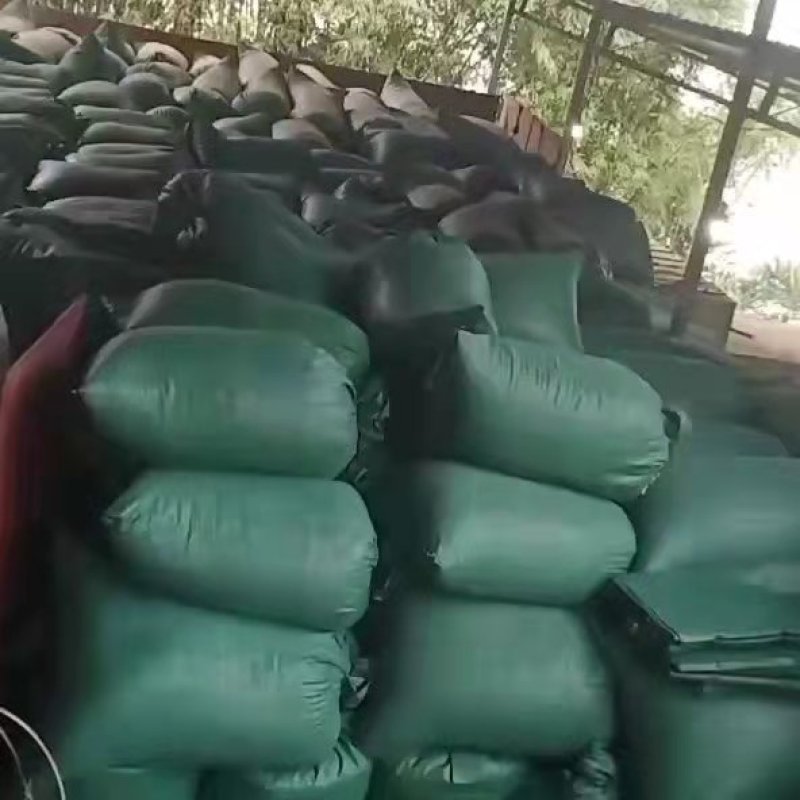 干砂仁出售