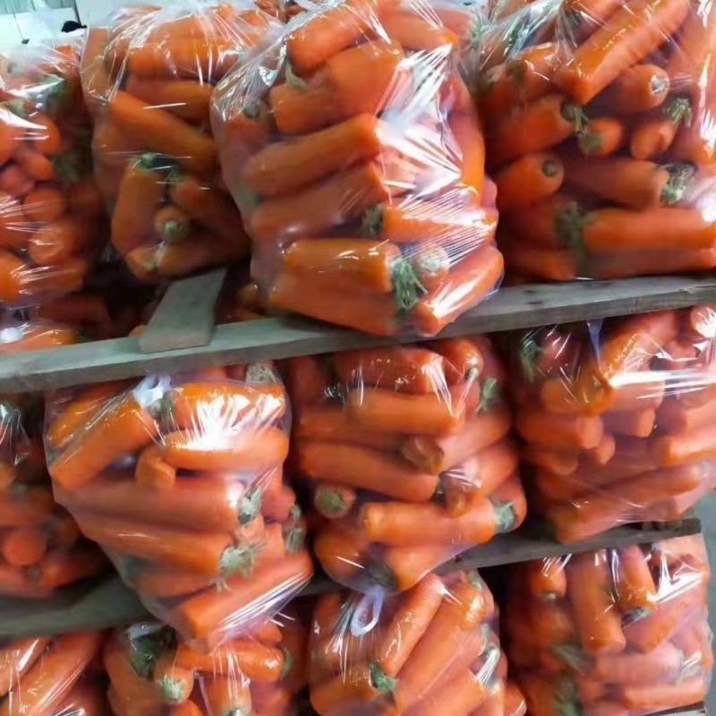 次品养殖用胡萝卜，加工厂食品厂次品胡萝卜，价格便宜出售