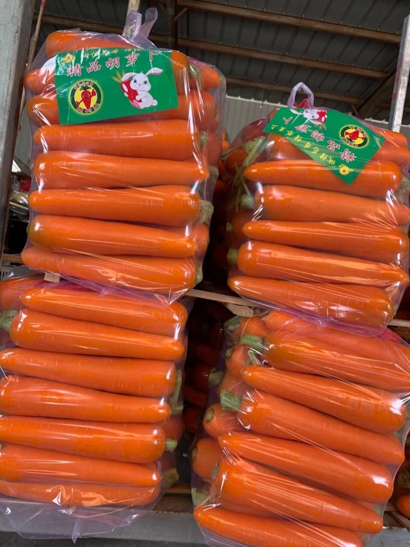 次品养殖用胡萝卜，加工厂食品厂次品胡萝卜，价格便宜出售