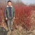 红瑞木江苏沭阳基地直发无中间商有需要的联系我