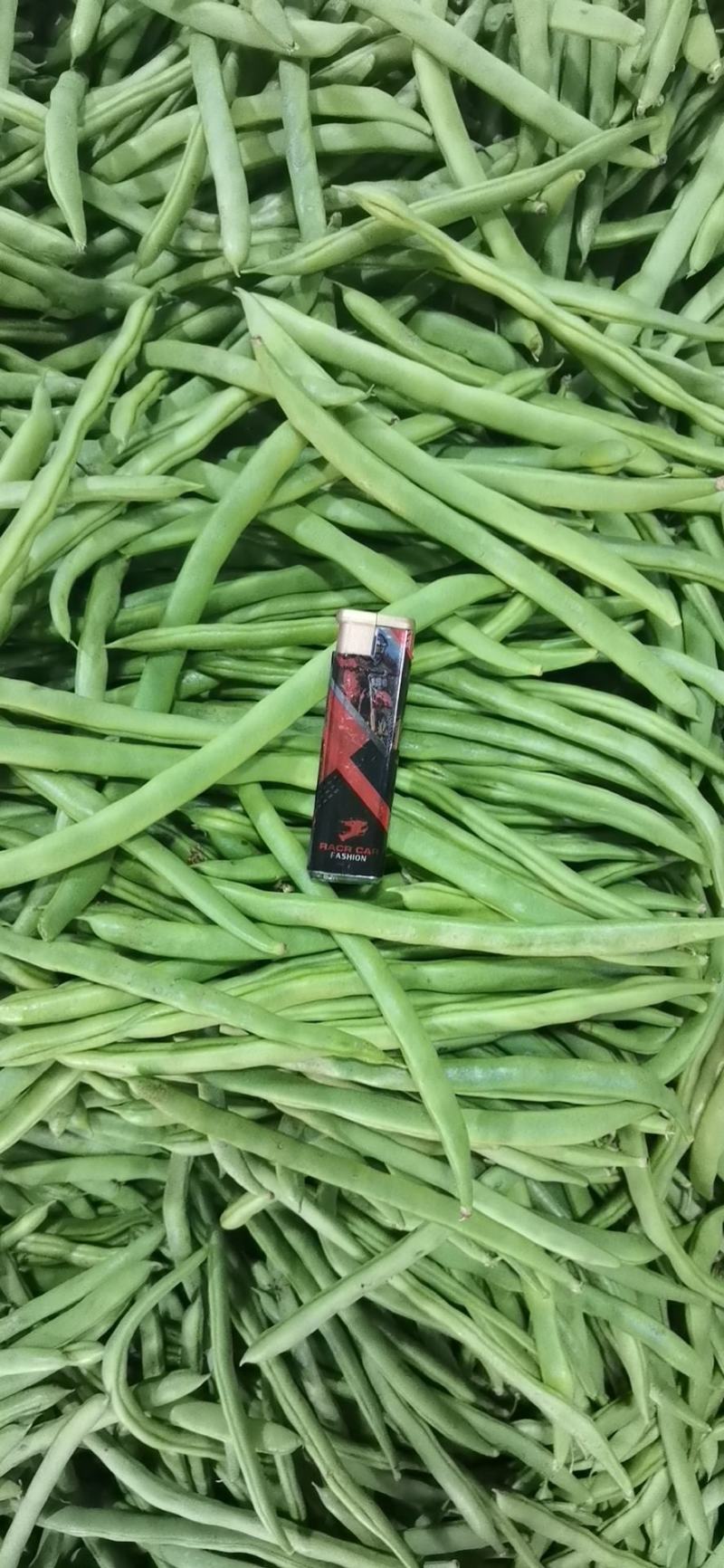 豆角