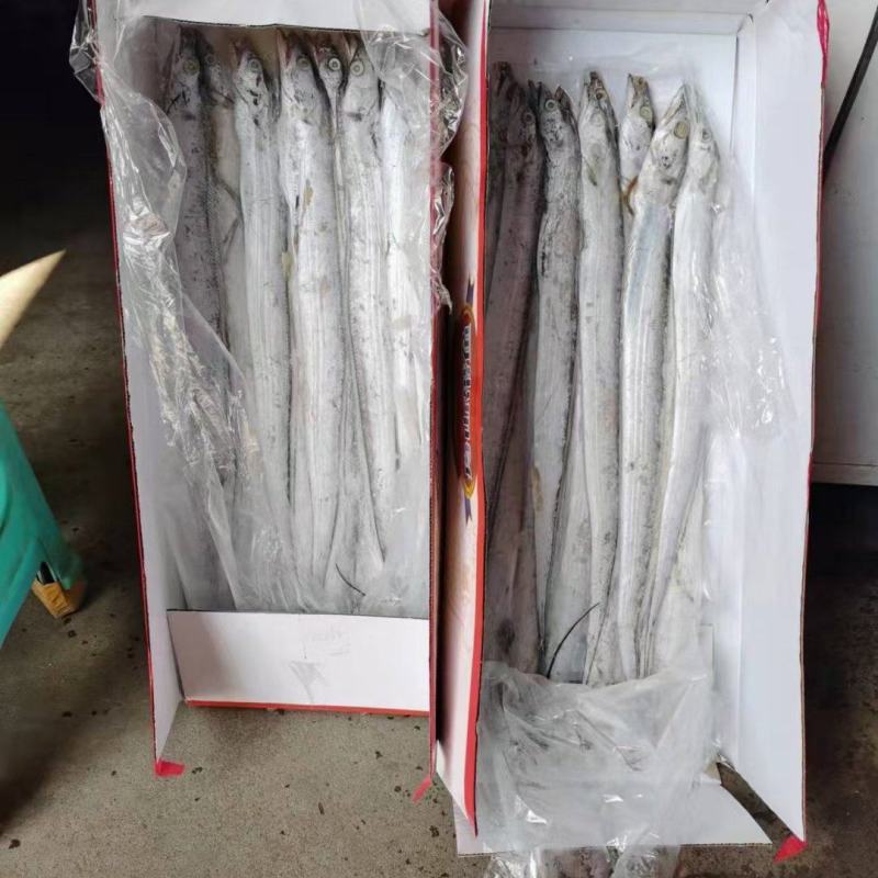 小带鱼小包装经济实惠，适合集市卖货，5斤装的