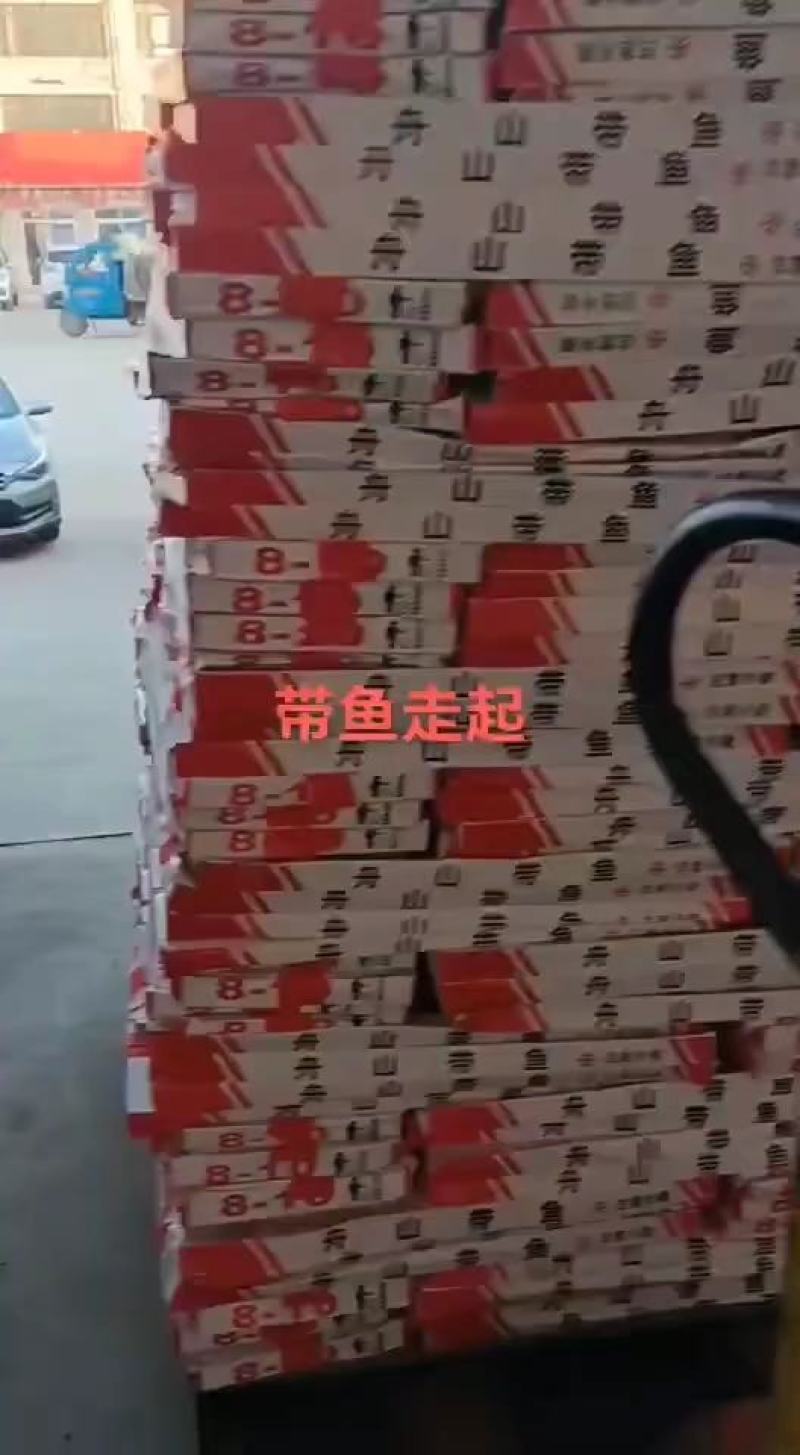 小带鱼小包装经济实惠，适合集市卖货，5斤装的