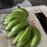 菲律宾进口香蕉🍌大量有货欢迎各位老板咨询