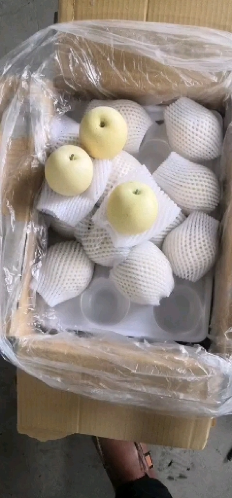 黄皮皇冠梨/河北赵县产地/大量上货/量大从优/欢迎来电
