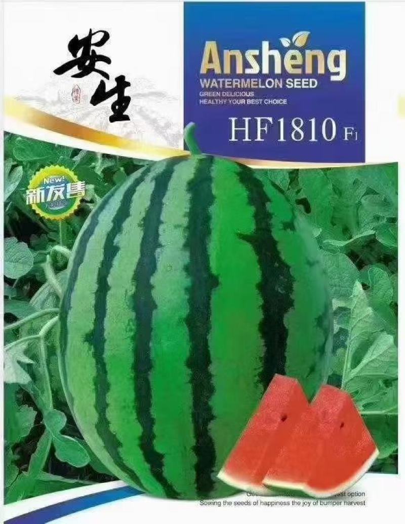 安生1810西瓜种子大量送货上门