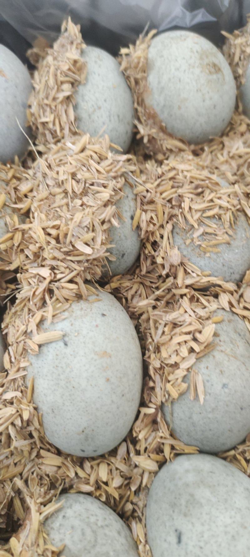 精品麻壳无铅松花蛋，厂家直销，赶集摆摊的赚钱好产品