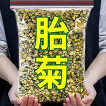 胎菊王包邮批发零售各种规格中药材