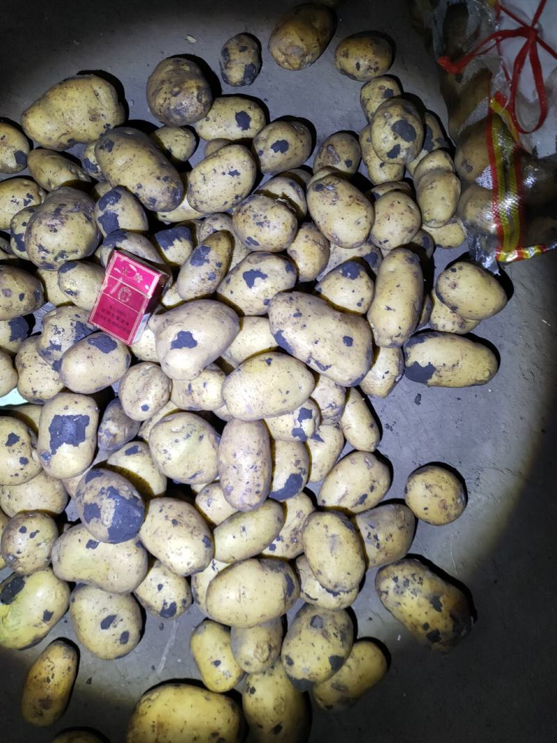 黄心土豆，反包干洗，有想法的随时下单，等