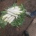 鲜食高山萝卜每个重量0.8-1.8公斤左右