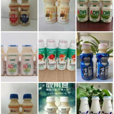 太子奶乳酸菌厂家现货12月新日期个位数批发