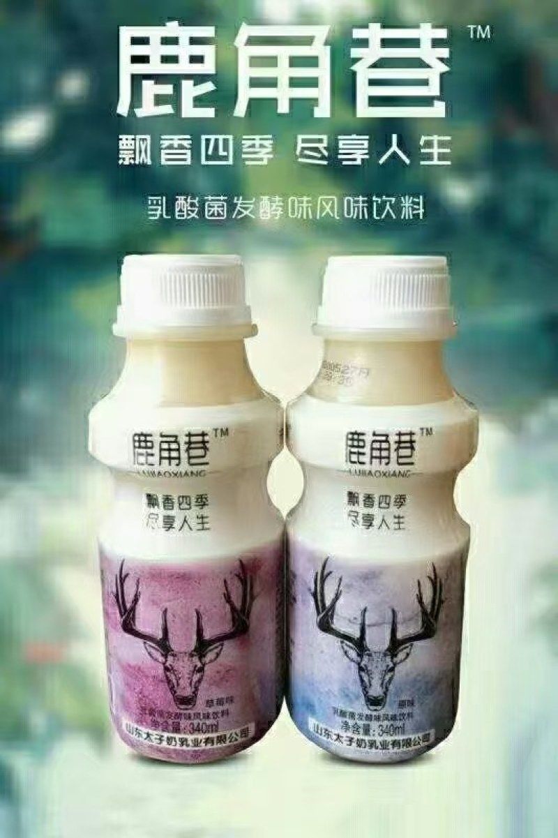 太子奶乳酸菌厂家现货12月新日期个位数批发