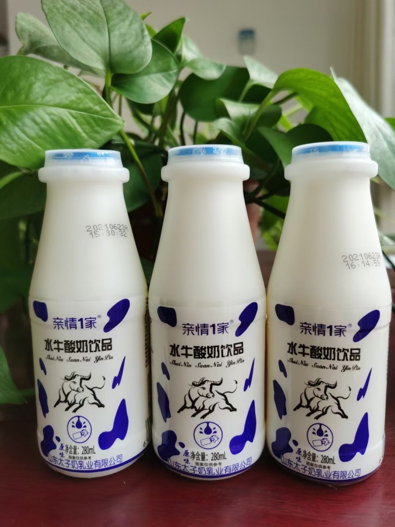 太子奶乳酸菌厂家现货12月新日期个位数批发
