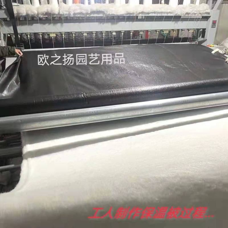 大棚保温被加厚加棉黑色淋膜养殖花艺保温布保暖防雨防晒大棚