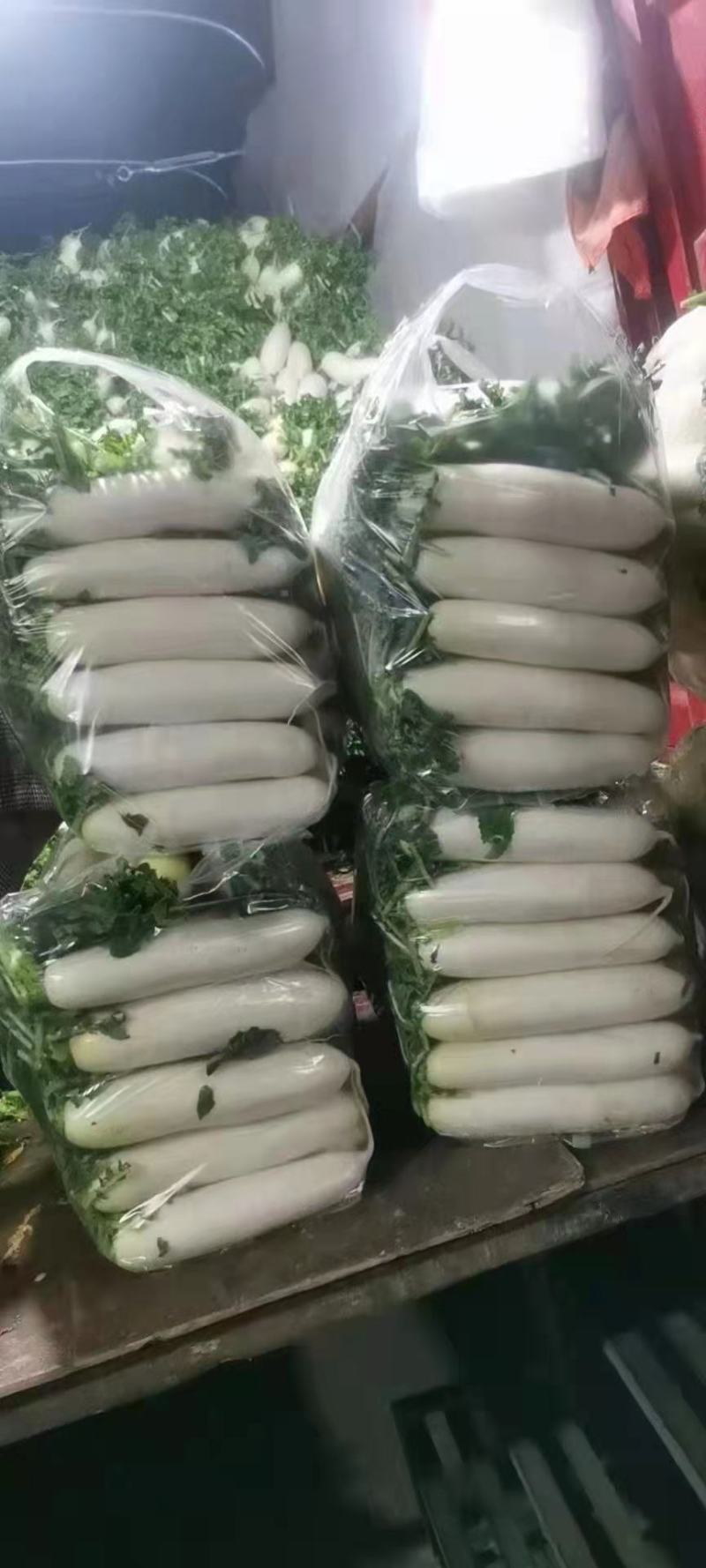 贵州精品白萝卜，大量供应
