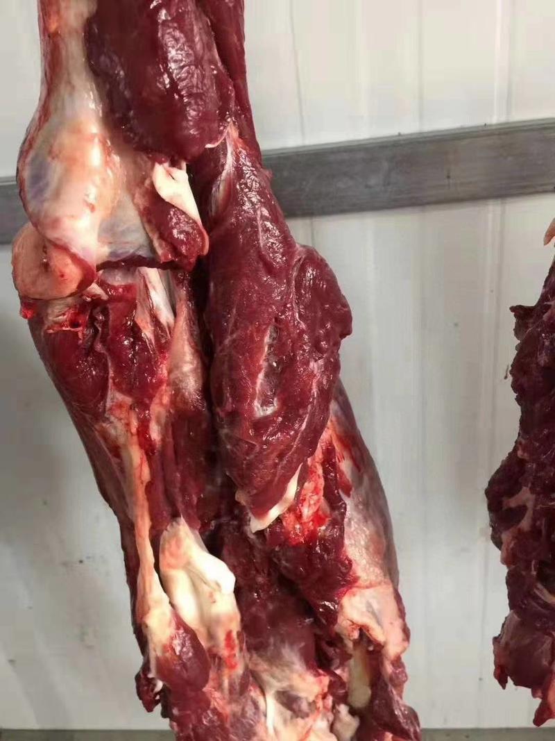 驴肉新鲜现宰肚腩后腿肋条肉大量供应新鲜驴肉