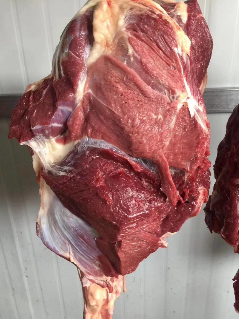 驴肉新鲜现宰肚腩后腿肋条肉大量供应新鲜驴肉