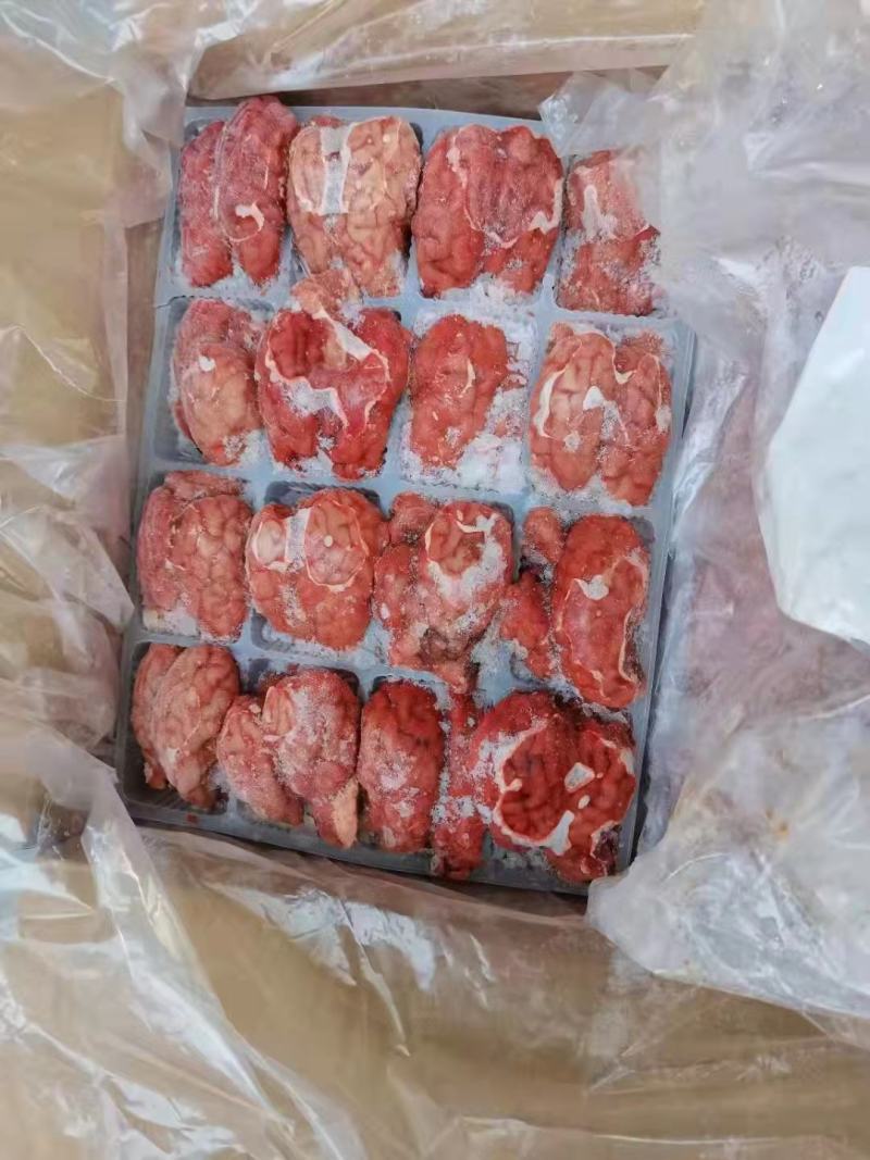 单体羊脑，实拍图片，质量好，一手货源，全国冷链发货