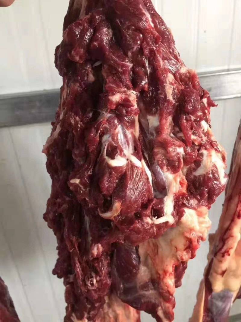 驴肉新鲜无注水驴肉新鲜现宰大量供应带皮不带皮
