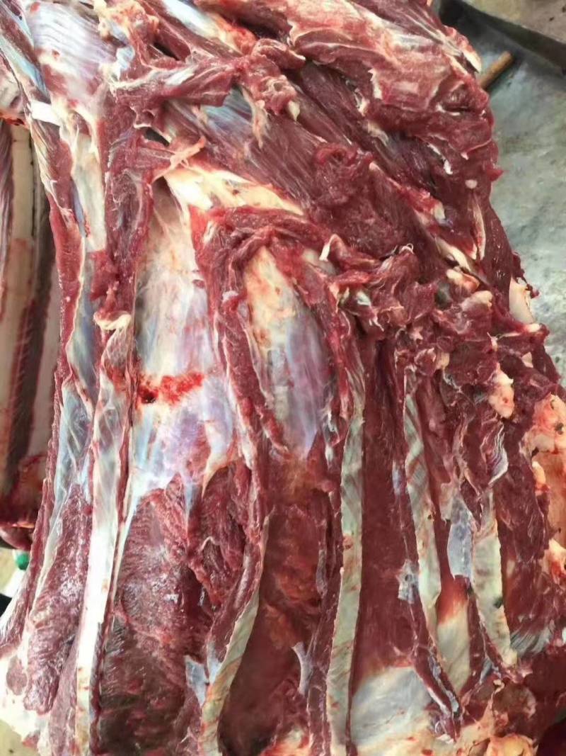 驴肉新鲜无注水驴肉新鲜现宰大量供应带皮不带皮