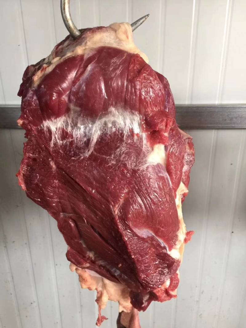 驴肉新鲜无注水驴肉新鲜现宰大量供应带皮不带皮