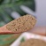 地锦草粉超细破壁纯粉高品质中药材地锦草粉小飞扬草正品