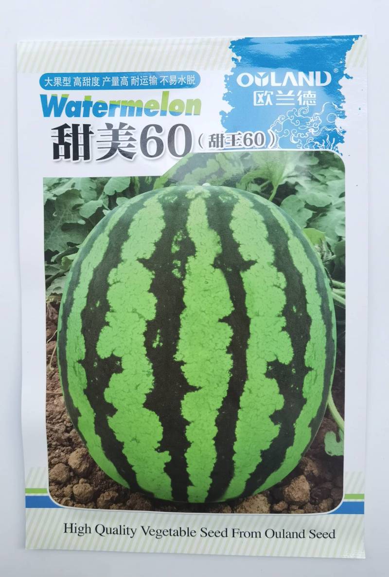 【早熟大果】甜王60西瓜种子耐低温大红瓤特甜耐运早春