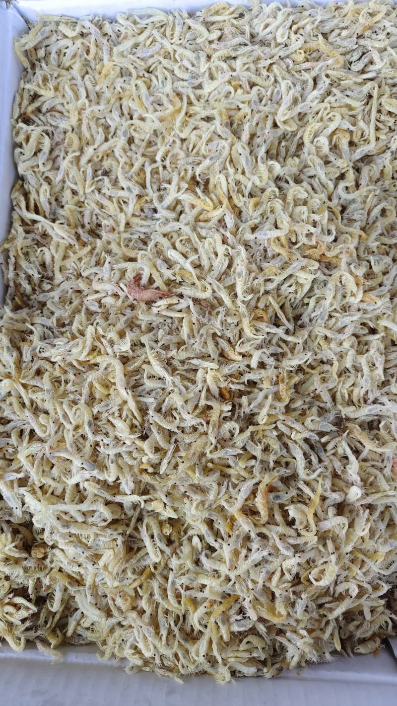 蹦虾，麦穗虾，小青虾。