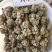 三七，10头到60头不等