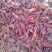 红干辣椒