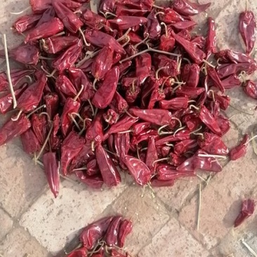 红干辣椒