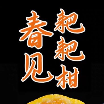 耙耙柑《春见》耙耙柑只做自然成熟的口感。现在已大量上市。