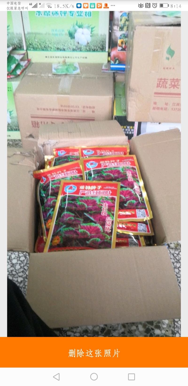 高产优质种子