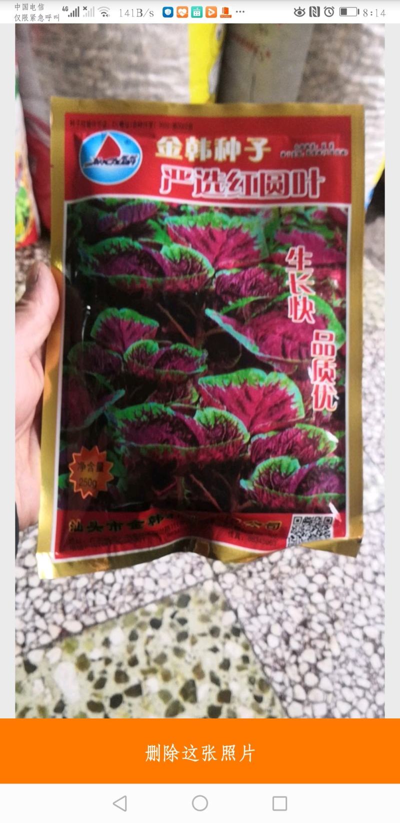 高产优质种子