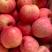 【产地】山东红富士苹果又脆又甜！全年有货低价供应品质保证