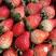【推荐】安徽红颜草莓，量大充足，一手货源欢迎大家进店咨询