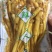 保鲜参酒瓶参火锅店泡酒用人参一袋净重250克