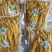 保鲜参酒瓶参火锅店泡酒用人参一袋净重250克