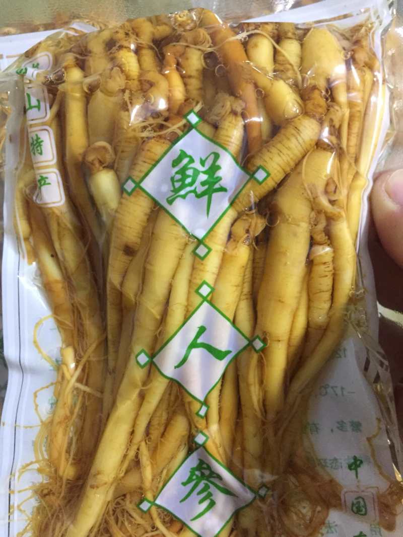保鲜参酒瓶参火锅店泡酒用人参一袋净重250克